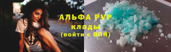 стафф Надым