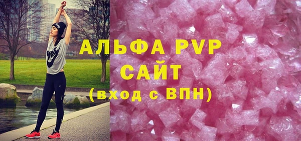 стафф Надым