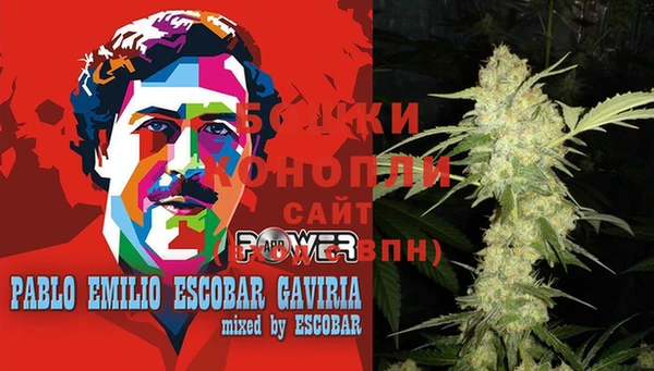 стафф Надым