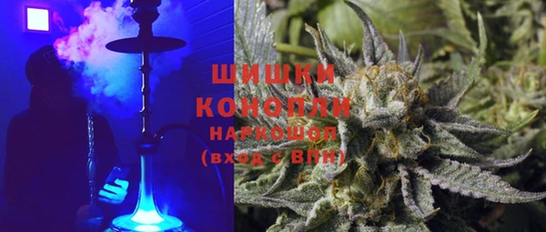 стафф Надым