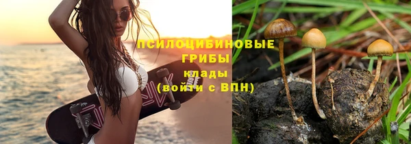 прущий лед Навашино